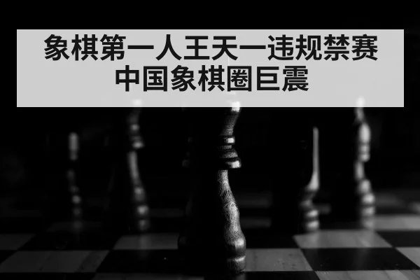 象棋第一人王天一违规禁赛 中国象棋圈巨震